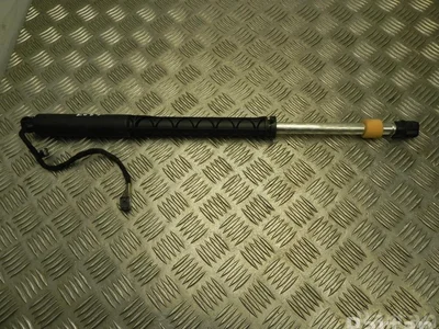 Volvo 31690206 S90 II 2019 Ressort à gaz - Image 1