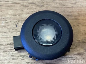 Renault 264307454R MEGANE E 2024 Interior Light