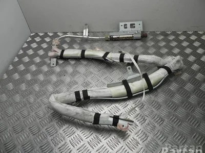 Nissan 2005 MURANO I (Z50) 2005 Airbag de tête - Image 1