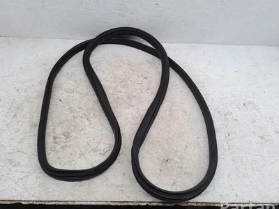 Hyundai i20 III (BC3, BI3) 2024 Durų sandariklis dešinysis galinis - Nuotrauka 1