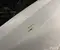 Audi Q3 (F3B) 2025 Wing left side - Image 2