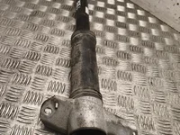 Gebrauchtes Original Volvo P8891842599 EX30 (416) 2024 Stoßdämpfer hinten links