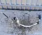 Citroën 9839376380 C5 AIRCROSS (A_) 2019 air conditioning, hoses/Pipes - Image 1