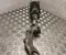 Gebrauchtes Original Audi 8W0413031BH A4 Avant (8W5, B9) 2020 Federbein, komplett vorne links vorne rechts - Bild 3