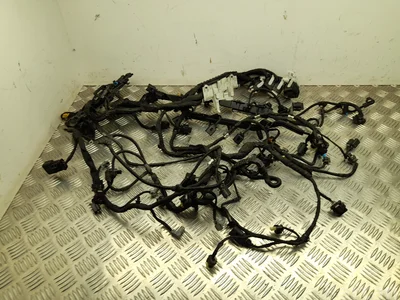 Mercedes-Benz A6561502500, A6561509800 GLE (C167) Coupé 2021 Fils du compartiment moteur - Image 1