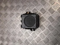 Renault 285N77924R ZOE (BFM_) 2020 Sirene, Alarmanlage