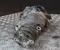 BMW 4 Coupe (F32, F82) 2014 Front axle differential - Image 3