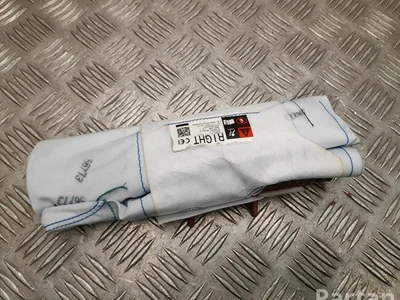 Tesla 1077830-00-C / 107783000C MODEL 3 2019 Airbag latéral - Image 1