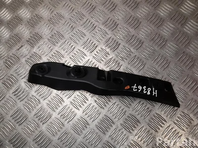 Polestar 80009772 4 2025 Verkleidungsträger - Bild 1