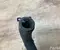 MG 10511841 MG HS (AS23) 2023 Radiator Hose - Image 3