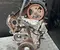 Ford XUJB FIESTA VI 2014 Moteur complet - Image 1