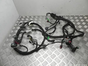 Jaguar J9D3-14A583-RD / J9D314A583RD I-PACE 2019 Harnais pour intérieur Porte