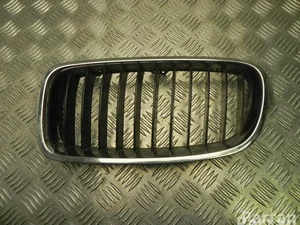 BMW 7255411 3 (F30, F80) 2012 Grillades