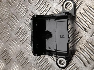 Nissan R03 LEAF (ZE1) 2019 Durų lankstas - Nuotrauka 1