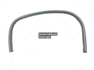 Ferrari 069877700 California 2010 Durų sandariklis dešinė priekis