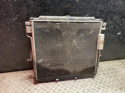 Nissan 21460EB30A, 92100EB00A NP300 NAVARA (D40) 2008 Radiateur Condenseur - Image 1