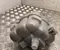 Audi 8W1 121 403 D / 8W1121403D A4 Avant (8W5, B9) 2020 Ausgleichsbehälter Kühlmittel - Bild 3