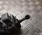 Mercedes-Benz A 213 760 56 00, A 213 900 05 00 / A2137605600, A2139000500 E-CLASS T-Model (S213) 2019 Antriebseinheit für Heckklappe - Bild 2
