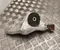Gebrauchtes Original Nissan 20240929B Ariya 2025 Motorlagerung - Bild 1