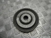 Renault E111126A SCÉNIC III (JZ0/1_) 2015 Poulie de guidage