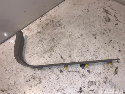 Volvo 8641785 S40 II (MS) 2007 Bordure de seuil de porte - Image 1