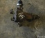 TOYOTA RAV 4 II (_A2_) 2003 Rear axle differential