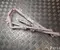 Volkswagen 3G0880742D PASSAT Variant (3G5) 2014 Kopfairbag rechts - Bild 2