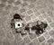 Gebrauchtes Original Toyota 25620-40040, 25680-0Q010 / 2562040040, 256800Q010 AYGO X (_B7_) 2023 AGR-Ventil - Bild 3