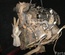 NISSAN YD25 NAVARA (D22_) 2007 Complete Engine