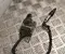 Gebrauchtes Original Volkswagen 059 907 805 B / 059907805B AMAROK Pritsche/Fahrgestell (S1B) 2017 Lambdasonde - Bild 1