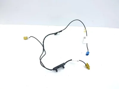 Ford USA JL1T-19C181-AA / JL1T19C181AA EXPEDITION (U553) 2020 Кабельный комплект - Изображение 1