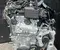 Kia G4FU Sportage V NQ5 2024 Komplettmotor - Bild 1