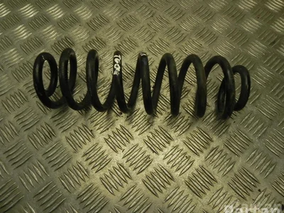 Dacia 550200356R Spring Electric (BBG) 2021 spyruoklė - Nuotrauka 1