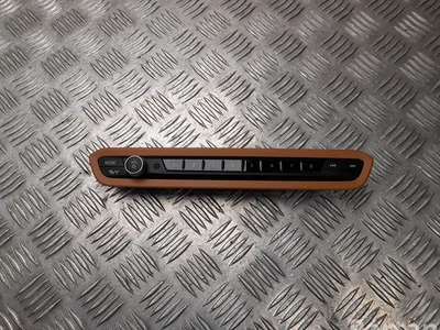 BMW 5A47C52 3 (G21) 2022 Radijas / magentola - Image 1