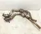 Aston Martin A2134903800, A2134903700, MY83-5G232-AA, MY83-5G236-AA, 8-50140.23 / A2134903800, A2134903700, MY835G232AA, MY835G236AA, 85014023 DBX 2021 Katalysator - Bild 2