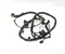 Maserati 31384410-AF, D-31840400-010 / 31384410AF, D31840400010 MC 20 Cielo 2023 Fils du compartiment moteur - Image 2