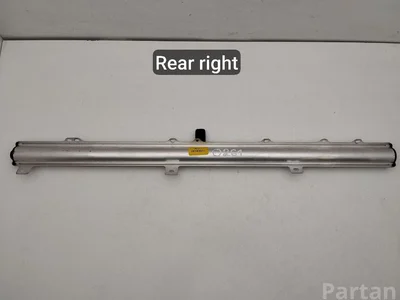 Chrysler Pacifica 2018 Rideau de porte right side - Image 1