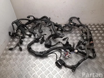 Lexus 82121-33F11, 82121-33F11-A / 8212133F11, 8212133F11A ES VII XZ10 2021 Motor Leitungssatz - Bild 1