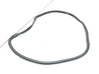 Ford USA JL1B78253A11-AD / JL1B78253A11AD EXPEDITION (U553) 2020 Durų sandariklis kairysis galinis