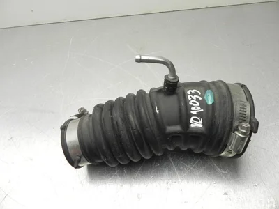 Nissan AEM JUKE (F15) 2011 Prise d'air / Conduit d'air d'admission - Image 1