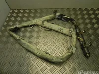 Nissan 6003828 PRIMERA Estate (WP12) 2003 Airbag de tête