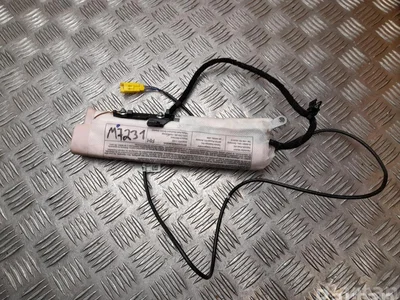 Volkswagen 5N0880242A TIGUAN (5N_) 2009 Airbag lateral - Imagen 1