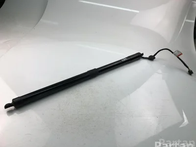 Volvo 31690929 XC60 II (246) 2019 Federn/Federbein und Stoßdämpfer - Bild 1