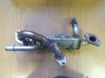 Seat 038 131 513 L / 038131513L ALHAMBRA (7V8, 7V9) 2005 Refroidisseur - Image 1