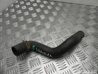 Ford CV61-8286-VF / CV618286VF FOCUS III 2014 Tuyau de radiateur