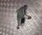 Toyota 85130-42100 / 8513042100 RAV 4 V 2020 Moteur d'essuie-glace - Image 3