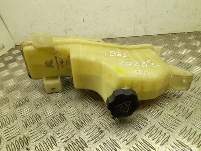 Tesla 6007339 MODEL S 2014 Aušinimo skysčio išsiplėtimo bakelis - Nuotrauka 1