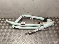 Tesla 1675066-EU-D / 1675066EUD Model Y 2025 Head Airbag Right