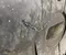 Mercedes-Benz A1665200723 M-CLASS (W166) 2012 Protección inferior del motor Motor - Imagen 2