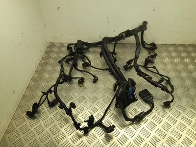 BMW 8599697 3 (G21) 2022 Variklio skyriaus laidai - Nuotrauka 1